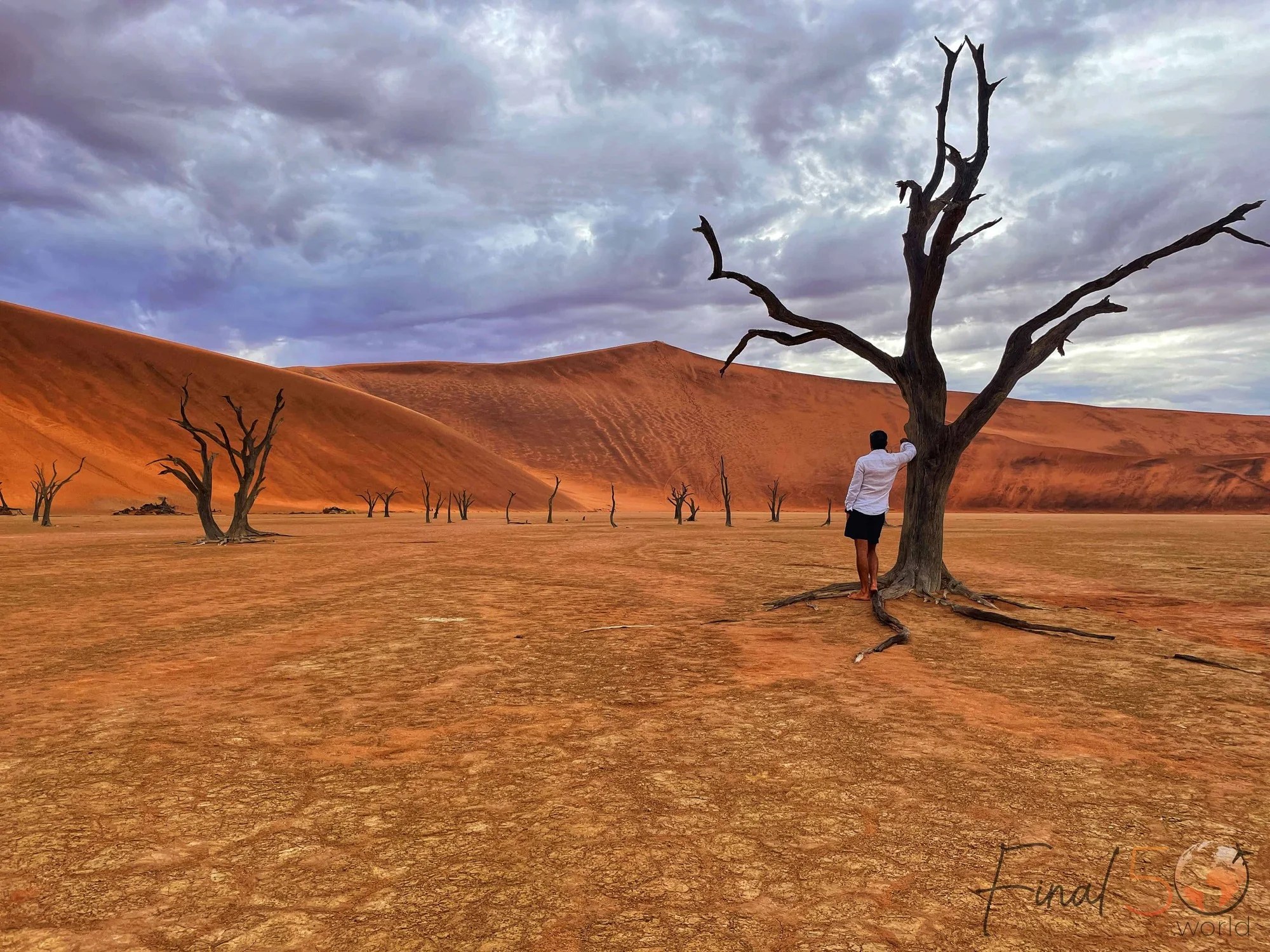 Hamada exploring the dunes and trees of Sossusvlei, Namibia